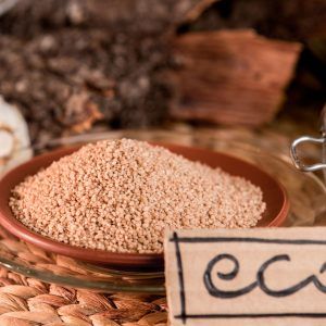 Cous cous espelta ecológico