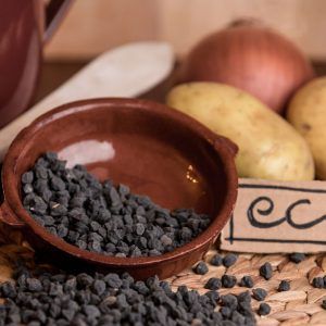Garbanzo Negro