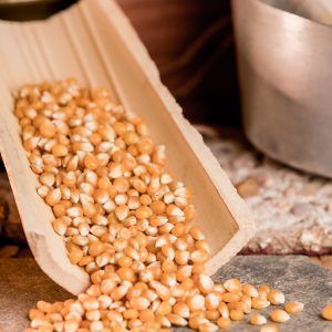 Maíz para palomitas