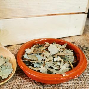 Eucalipto hoja cortada
