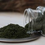 eneldo en hoja