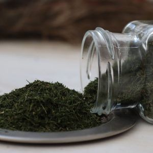eneldo en hoja