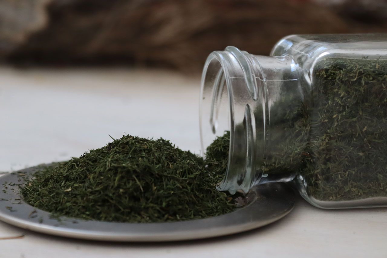 eneldo en hoja