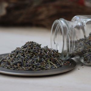 Lavanda