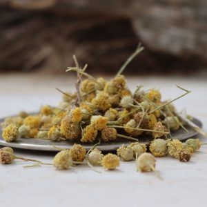 Manzanilla amarga