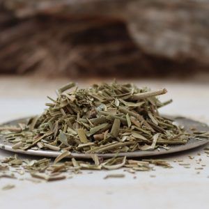 Olivo hoja cortada
