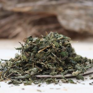 Ortiga verde hoja