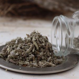 Salvia en hojas