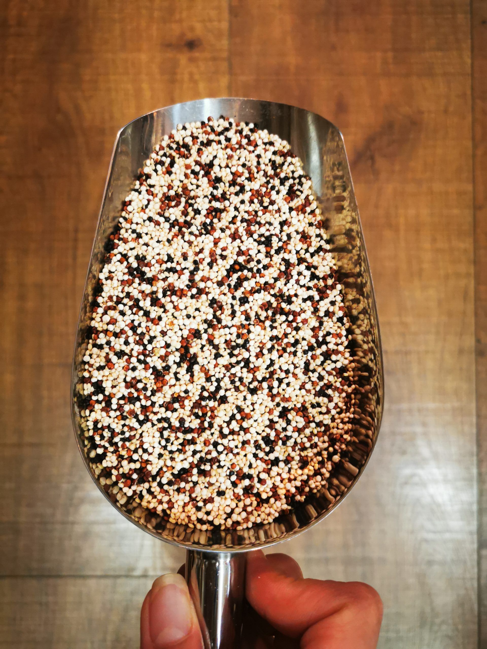 quinoa tricolor