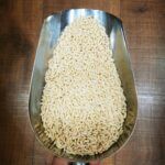 orzo