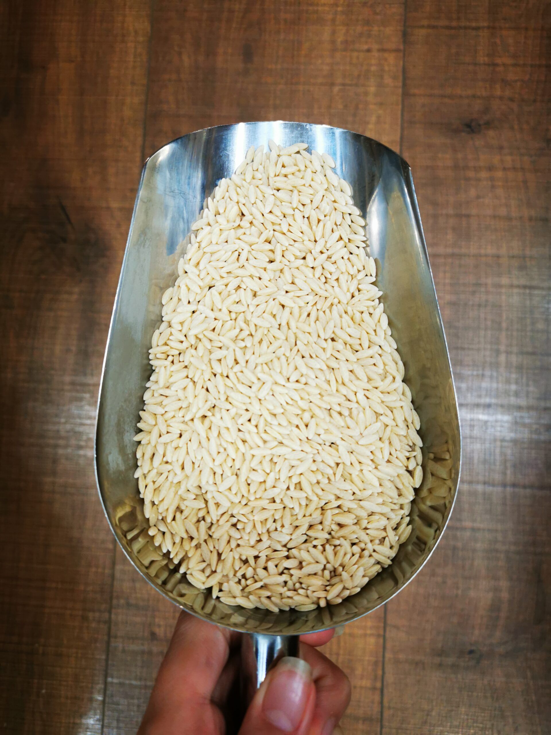 orzo