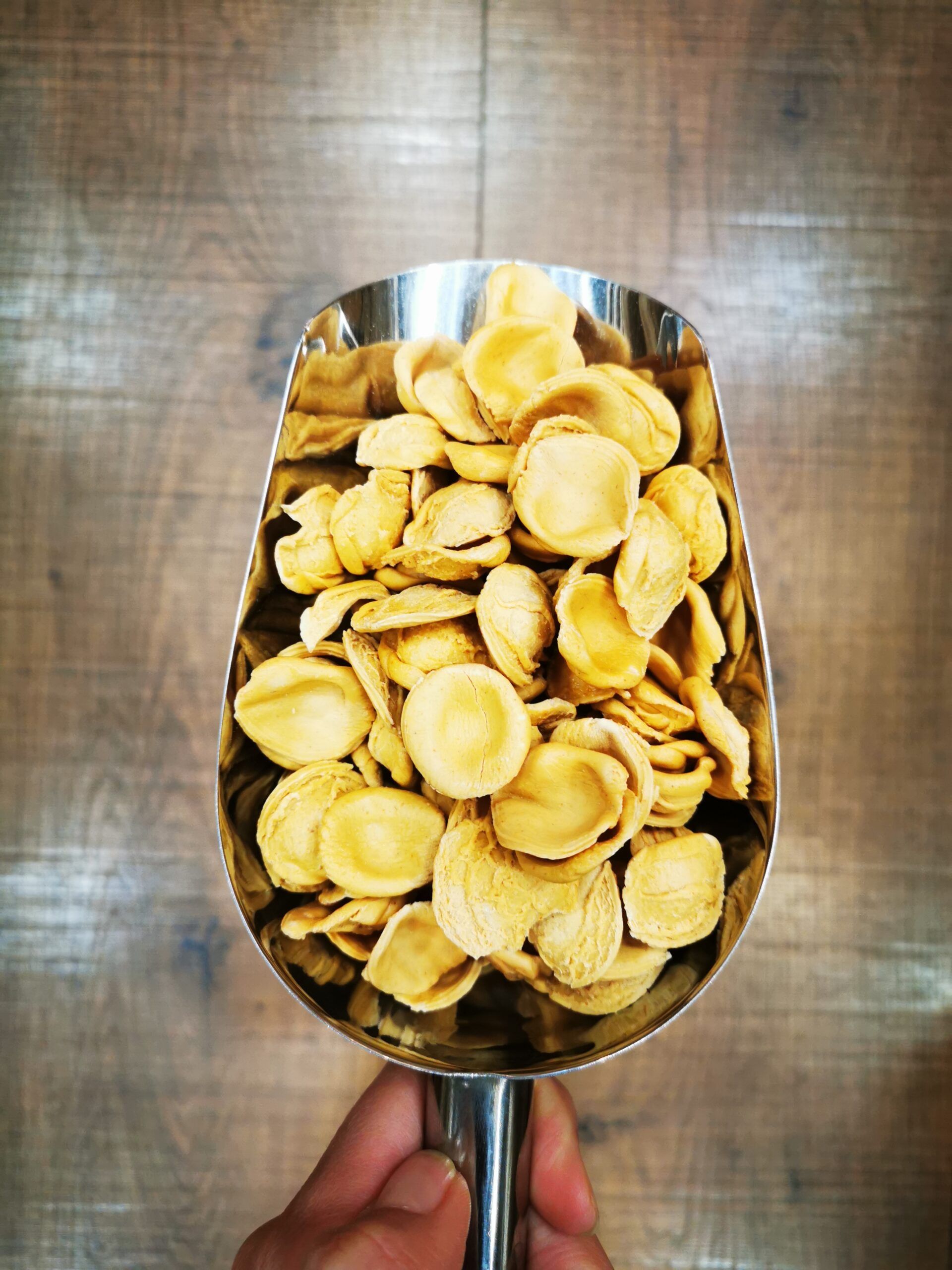 orecchiette calabaza
